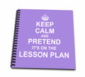 3dRose InspirationzStore Typography - Purple Keep Calm and Pretend its on the Lesson Plan fun teacher gift - Drawing Books (db_179746)